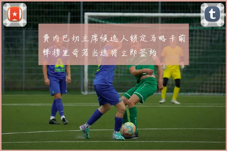 费内巴切主席候选人锁定马略卡前锋穆里奇若当选将立即签约