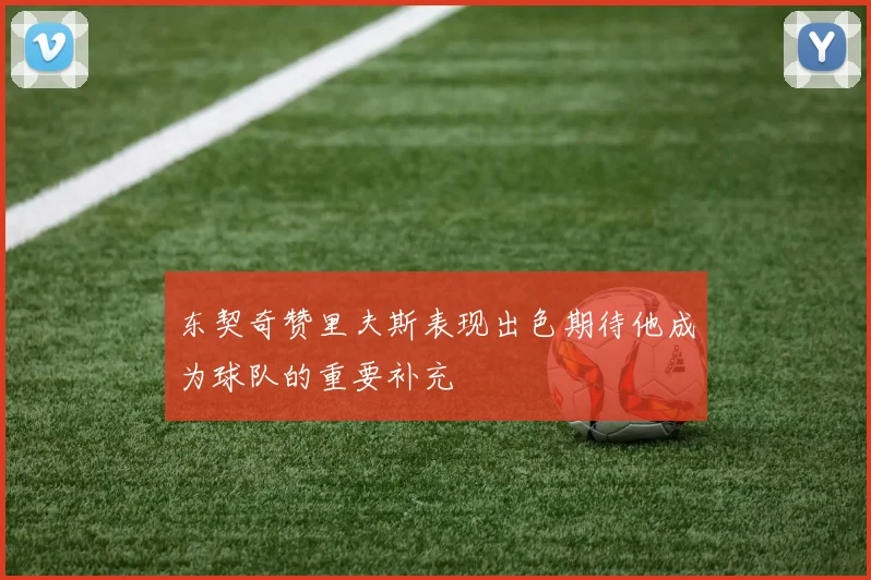 东契奇赞里夫斯表现出色期待他成为球队的重要补充
