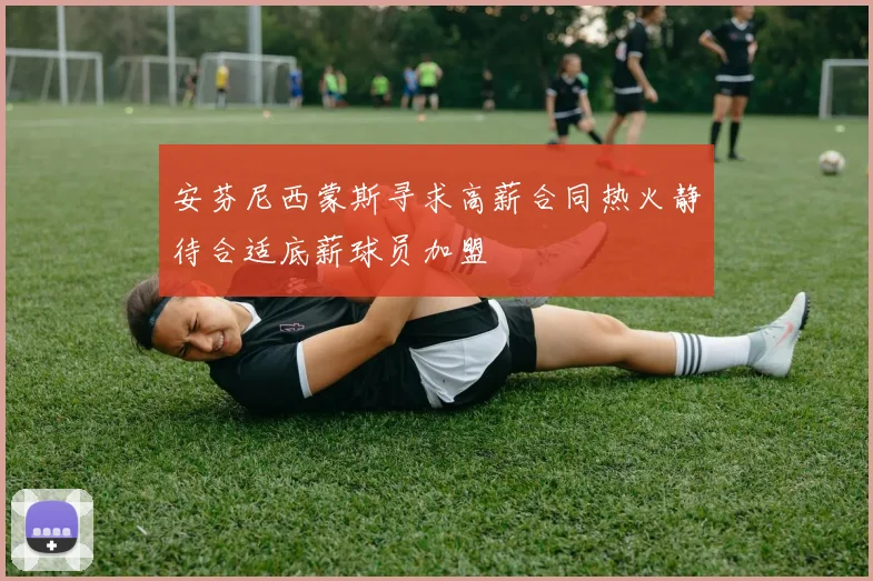 安芬尼西蒙斯寻求高薪合同热火静待合适底薪球员加盟