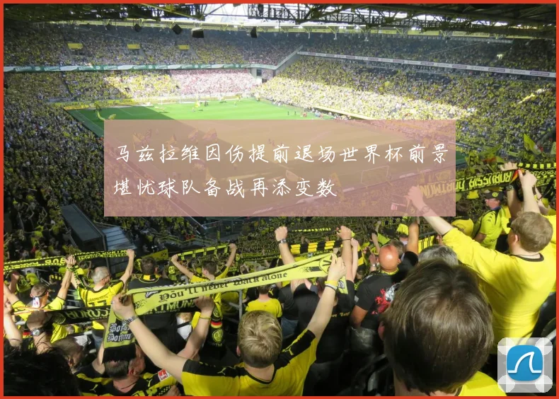 马兹拉维因伤提前退场世界杯前景堪忧球队备战再添变数